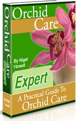 Orchid Care Expert - A Practical Guide to Orchid Care