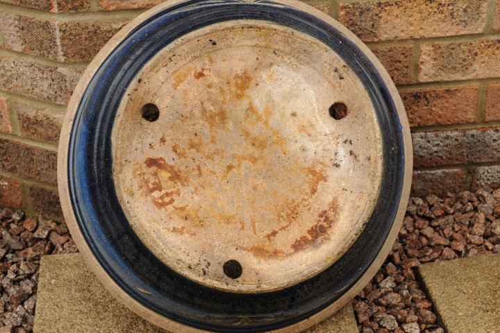 Ensure your large pot has plenty of drainage holes.