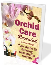 Orchid Care Revealed - Your Guide to Growing Sensational Orchids