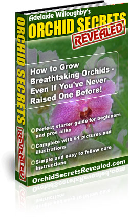 Orchid Secrets Revealed Guide Book and Teaching Course